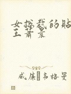 女总裁的贴身兵王萧晨