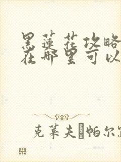 黑莲花攻略手册在哪里可以看