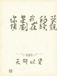 你是我的荣耀电视剧在线观看免费