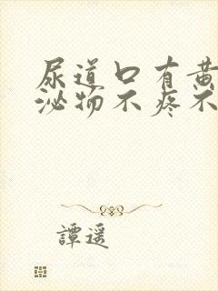 尿道口有黄色分泌物不疼不痒封面