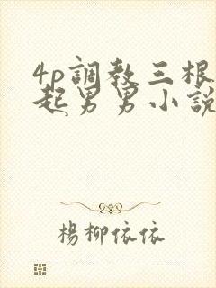 4p调教三根一起男男小说封面