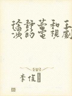 徐静蕾和王志文演的电视剧