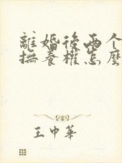 离婚后两个孩子抚养权怎么分