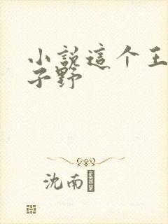 小说这个王妃路子野