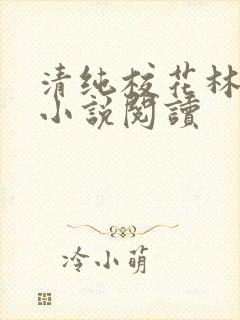 清纯校花林思琪小说阅读
