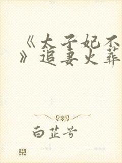 《太子妃不干了》追妻火葬场