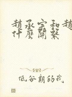 赵承宗和赵匡胤什么关系封面