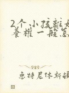 2个小孩离婚抚养权一般怎么判