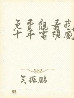 免费观看我们这十年电视剧