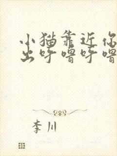 小猫靠近你时发出呼噜呼噜的声音