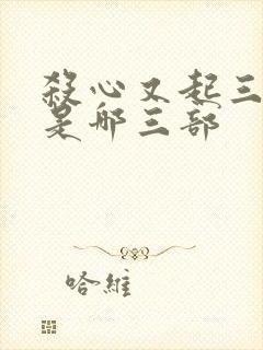 杀心又起三部曲是哪三部封面