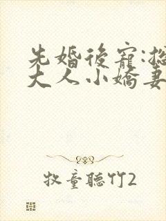 先婚后宠:总裁大人小娇妻封面