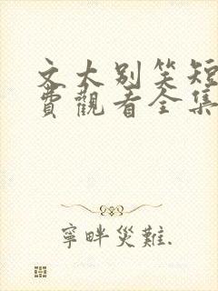 文太别笑短剧免费观看全集播放