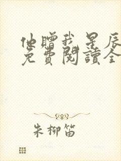 他赠我星辰满天免费阅读全文