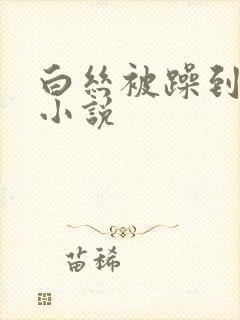 白丝被躁到高潮小说封面