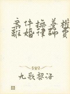 案件抚养权诉讼离婚律师费