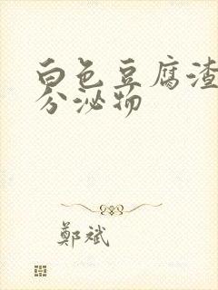 白色豆腐渣无味分泌物