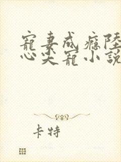 宠妻成瘾陆少的心尖宠小说免费