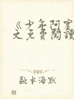 《少年阿宾》全文免费阅读