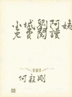 小城刘阿姨高梅免费阅读封面