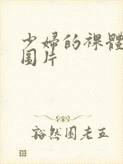 少妇的裸体乳房图片封面