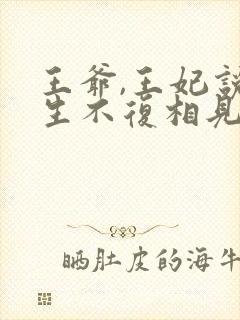 王爷,王妃说此生不复相见免费阅读无弹窗