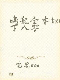 鸣龙全本txt下八零