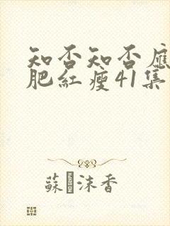 知否知否应是绿肥红瘦41集