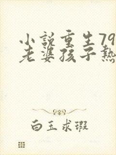 小说重生79:老婆孩子热炕头阅读