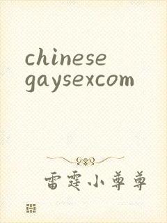 chinesegaysexcom封面