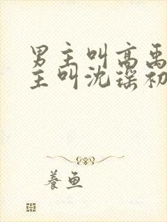 男主叫高禹川女主叫沈瑶初的短剧封面