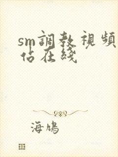 sm调教视频网站在线
