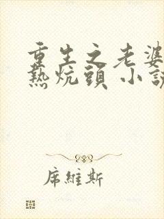 重生之老婆孩子热炕头 小说封面