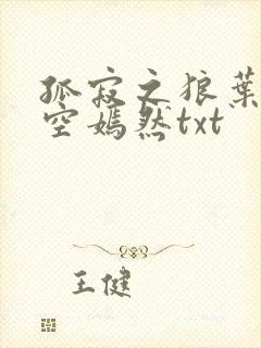 孤寂之狼叶凡司空嫣然txt