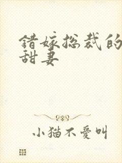 错嫁总裁的契约甜妻