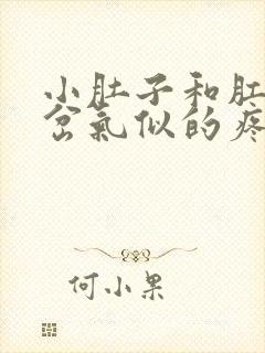 小肚子和肛门像岔气似的疼