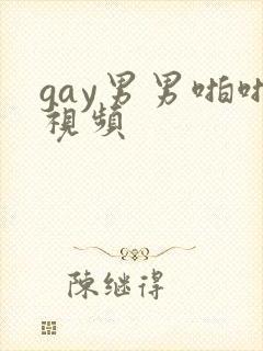 gay男男啪啪视频