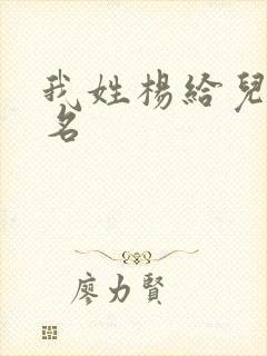 我姓杨给儿子取名