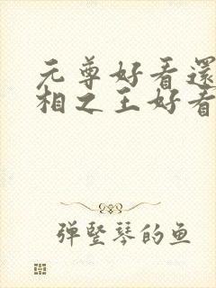 元尊好看还是万相之王好看