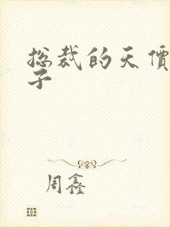 总裁的天价小妻子