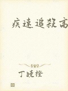 疾速追杀高清封面