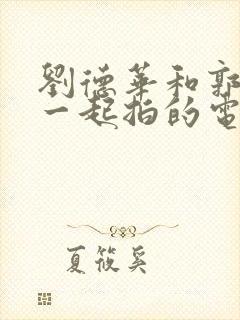 刘德华和郭富城一起拍的电影封面