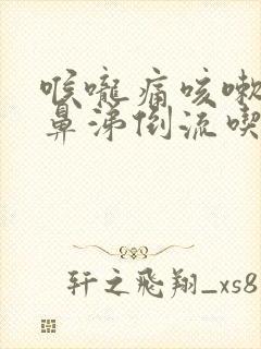 喉咙痛咳嗽鼻塞鼻涕倒流吃什么药