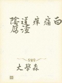 阴道痒痛白带豆腐渣