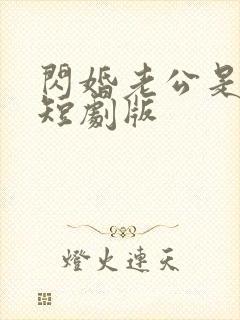 闪婚老公是豪门短剧版封面