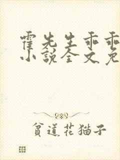 霍先生乖乖宠我小说全文免费阅读