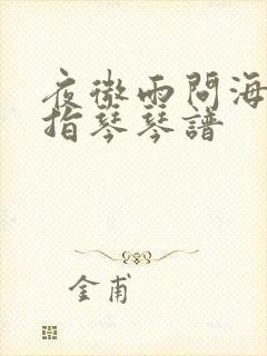 夜微雨问海棠拇指琴琴谱