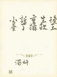 小说重生后我娇养了摄政王小说封面