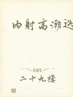 内射高潮迭起封面