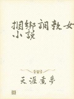 捆绑调教女警的小说封面